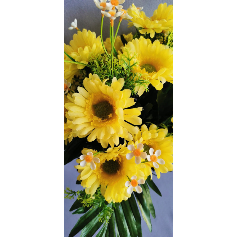 Gerbera kyrtice bohatá, 6 b.