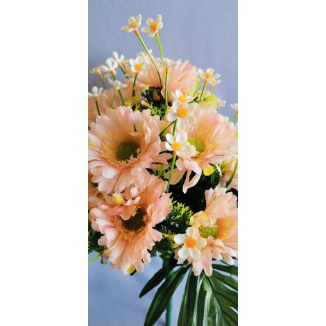 Gerbera kyrtice bohatá, 6 b.