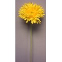 Gerbera žlutá 60 cm