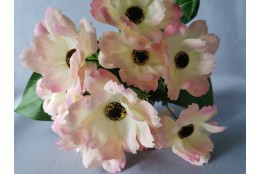 Cosmos Krásenka kytička krémovo-růžová 38 cm