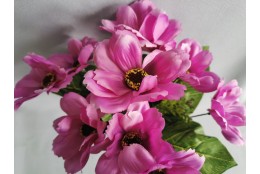 Cosmos Krásenka kytička fialová 38 cm