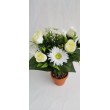 Kytice růže, gerbera, 6 barev