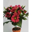 Kytice růže, gerbera, 6 barev