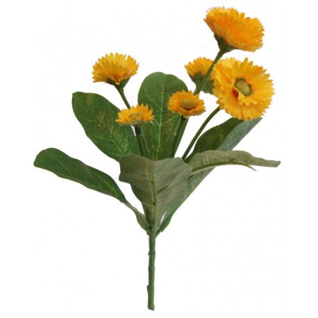 Bellis kytička  - žlutá