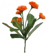 Bellis oranžový 24 cm