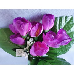Krokus růžovo-fialový 25 cm