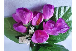 Krokus růžovo-fialový 25 cm
