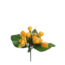 Krokus sv. oranžový 25 cm