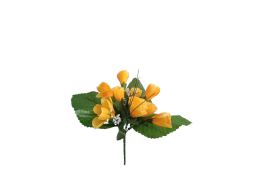 Krokus sv. oranžový 25 cm