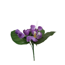 Krokus fialovo-bílý 25 cm