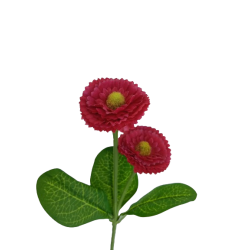 Bellis červený 31 cm