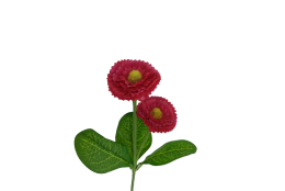 Bellis červený 31 cm