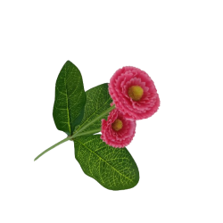 Bellis tm. růžový 31 cm
