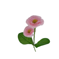 Bellis sv. růžový 31 cm