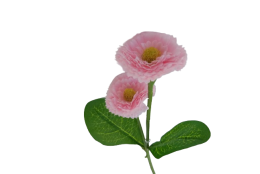 Bellis sv. růžový 31 cm