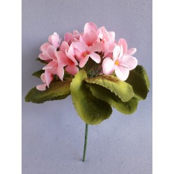 Fialka sv. růžová 20 cm