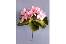 Fialka sv. růžová 20 cm