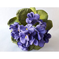 Fialka fialová 20 cm