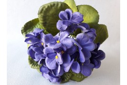 Fialka fialová 20 cm