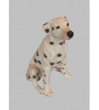 Pes Dalmatin 6*12 cm