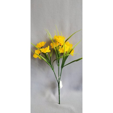 Narcis kytička, 2 barvy