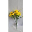 Narcis kytička, 2 barvy