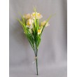 Narcis kytička, 2 barvy