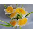 Narcis kytička, 2 barvy