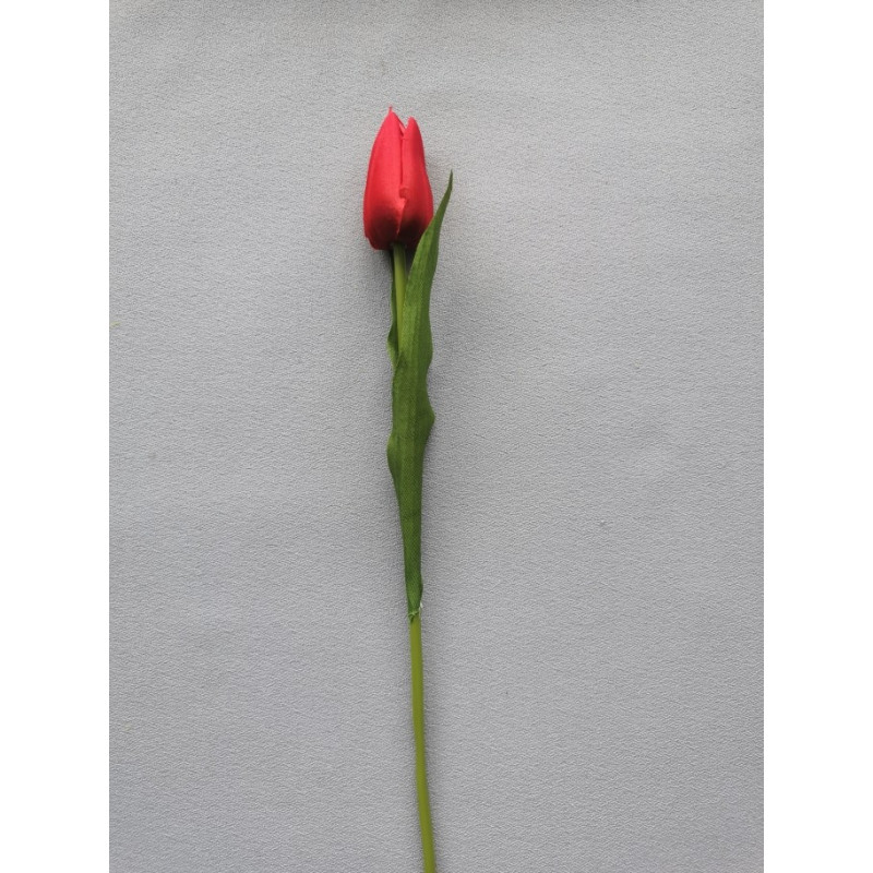 Tulipán pugét, 6 barev