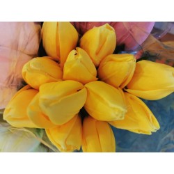 Tulipán pugét 12ks žlutý 50 cm