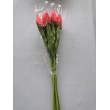 Tulipán pugét, 6 barev