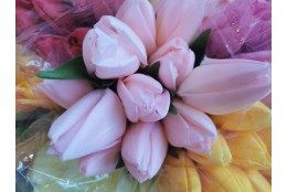Tulipán pugét 12ks sv. růžový 50 cm