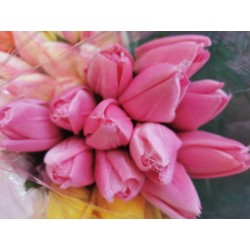 Tulipán pugét 12ks růžový 50 cm