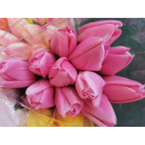 Tulipán pugét, 6 barev