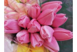 Tulipán pugét 12ks růžový 50 cm