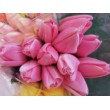 Tulipán pugét, 6 barev