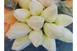 Tulipán pugét 12ks bílo-zelený 50 cm