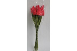 Tulipán pugét 12 ks červený 60 cm
