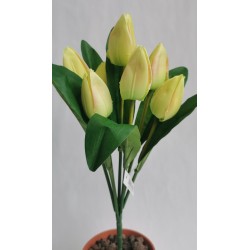 Tulipán svazek zelený 42 cm
