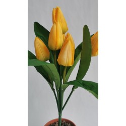Tulipán svazek žlutý 42 cm