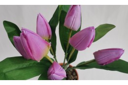 Tulipán svazek lila 42 cm