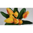 Tulipán svazek, 42 cm, 6 barev