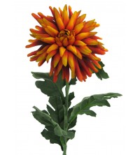 Chryzantéma oranžovo-hnědá 65 cm