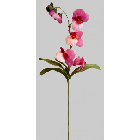 Orchidej
