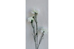 Karafiát bílo-zelená 64 cm
