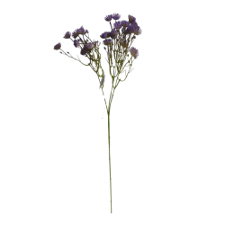 Kytička drobnokvětá fialová 65 cm