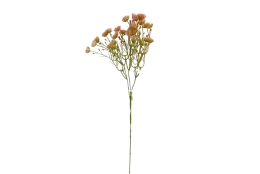 Kytička drobnokvětá růžová 65 cm