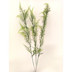 Asparagus větvička 3 ks 57 cm