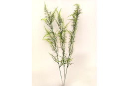 Asparagus větvička 3 ks 57 cm