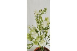 Tráva plast jetel bílá 34 cm